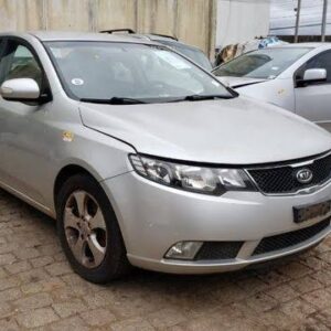 PÁRA-LAMA CERARO 2011